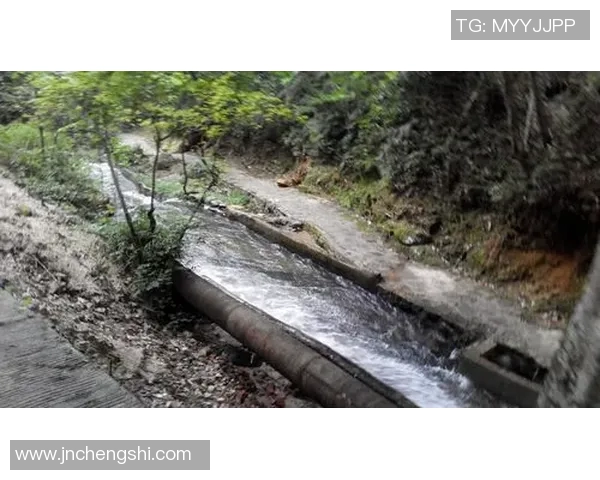 周军独家分享攀岩心得与技巧助你征服高峰挑战自我极限