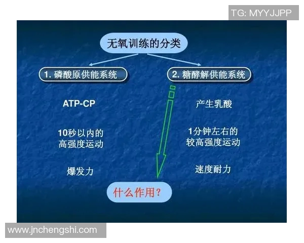 深圳羽毛球队耐力表现数据分析揭示运动员训练与比赛的关键因素