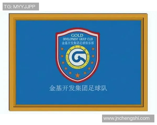 南京足球队运营策略深度分析与发展前景探讨