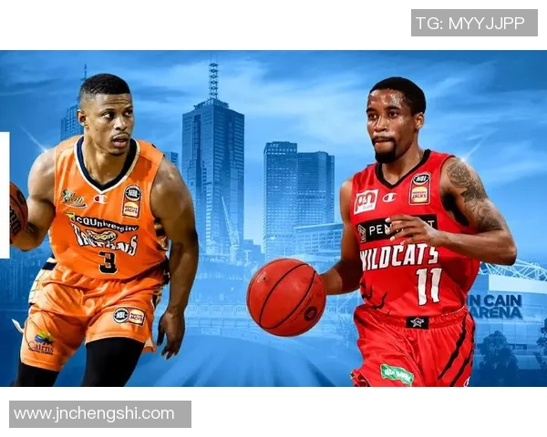 波斯野猫与坎斯大班的精彩对决与生存智慧探讨