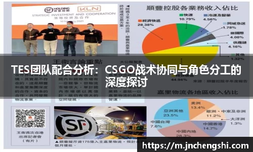 TES团队配合分析：CSGO战术协同与角色分工的深度探讨